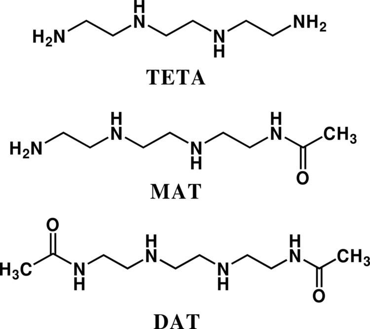 Triethylenetetramine Triethylenetetramine and Metabolites Levels in Relation to Copper