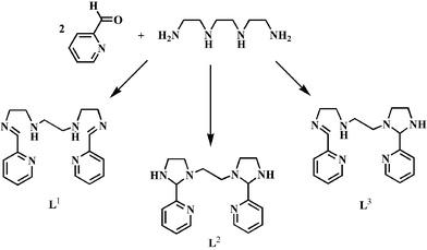 Triethylenetetramine Selective complexation of 3d metal ii ions with multidentate and