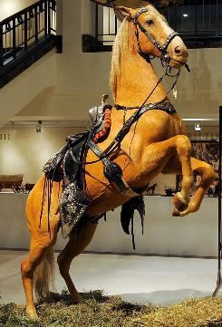 Trigger (horse) Roy Rogers39 stuffed horse Trigger sold at auction USATODAYcom