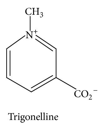 Trigonelline The structure of trigonelline one of the chemical constituents of