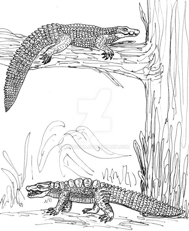 Trilophosuchus pre13deviantartnet4907thprei2015125fdme