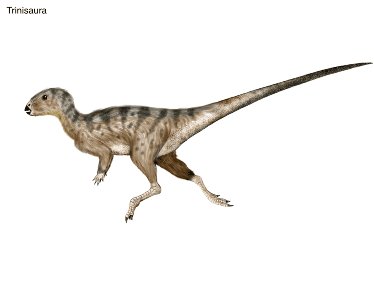 Trinisaura Trinisaura by cisiopurple on DeviantArt