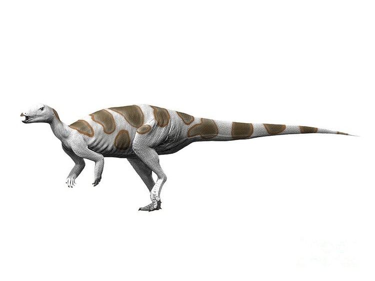 Trinisaura imagesdinosaurpicturesorgtrinisaurasantamartae