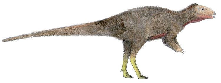 Trinisaura Trinisaura Wikipedia