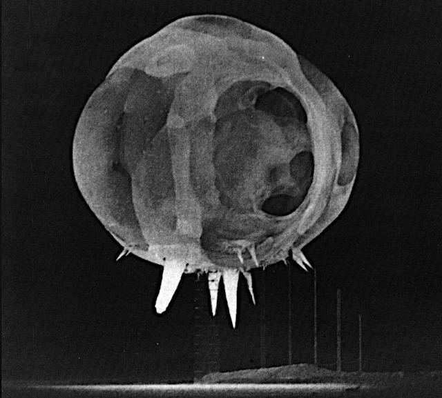 Trinity (nuclear test) Today is the 70th Anniversary of the First Atomic Bomb The Trinity
