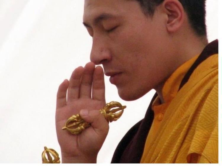Trinley Thaye Dorje 17th Karmapa Trinley Thaye Dorje Kagy Lineage Tantric Buddhism