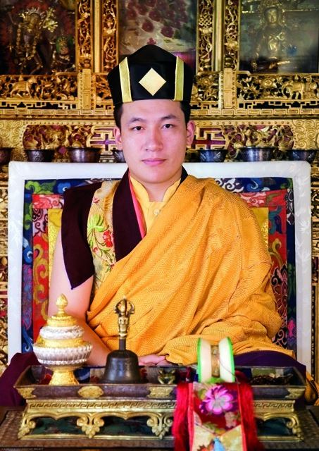 Trinley Thaye Dorje HH 17th Karmapa Trinley Thaye Dorje