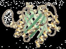 Triosephosphate isomerase httpsuploadwikimediaorgwikipediacommonsthu
