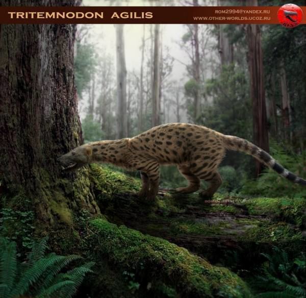 Tritemnodon 4bpblogspotcom71XrIRtrPmgT38oyrlMyIAAAAAAA