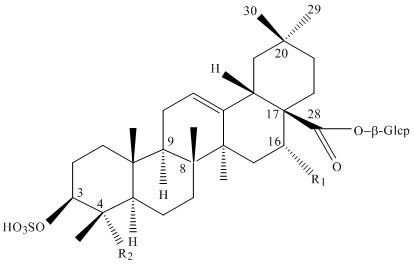 Triterpenoid saponin 3OSulfotriterpenoid Saponins from Gypsophila trichotoma Wend