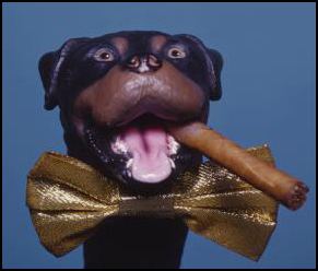 Triumph, the Insult Comic Dog Insult Comic Dog Triumph Poised for 2012 Election Carl Anthony Online