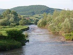 Târnava River httpsuploadwikimediaorgwikipediacommonsthu