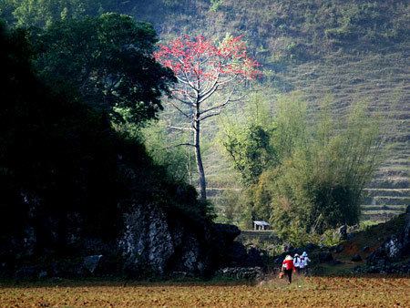 Trùng Khánh District cdn1vietnamtourismorgvnimagescontent201212