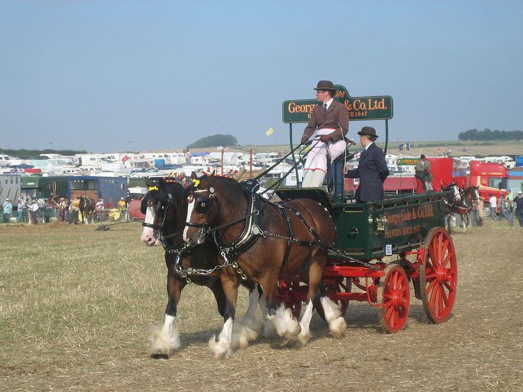 Trolley (horse-drawn)