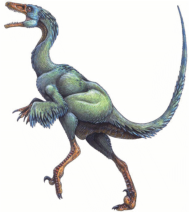Troodon wwwdinosaurworldcomfeathereddinosaursspecies