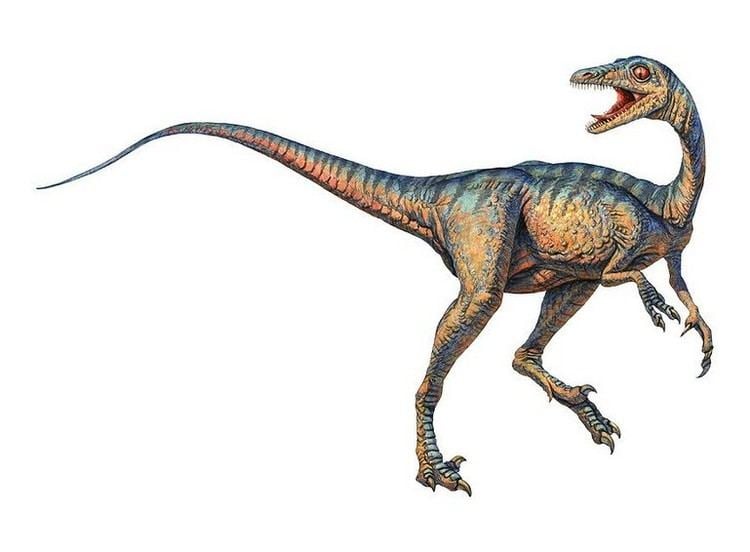 Troodon Troodon Pictures amp Facts The Dinosaur Database