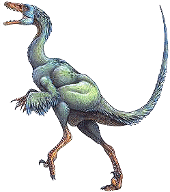 Troodontidae Troodontidae the Troodon Dinosaurs