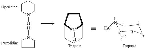 Tropane alkaloid Tropane Alkaloids