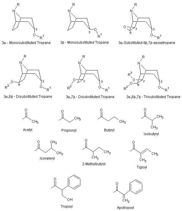 Tropane alkaloid Tropane Alkaloids MASONACO Mass Spectrometry of Natural Compounds