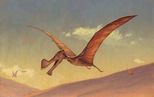Tropeognathus Tropeognathus Lord of the Skies
