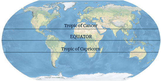 Tropic Of Cancer Detailed Information Photos Videos Tropic Of Cancer Detailed Information Photos Videos