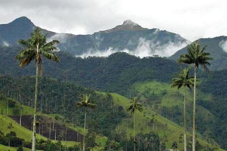 Tropical Andes Physical geography and ecosystems in the tropical andes Lima COP20