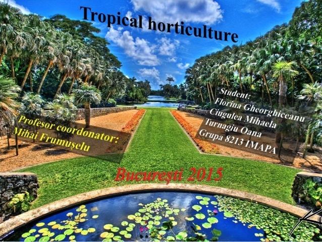 Tropical horticulture httpsimageslidesharecdncomtropicalhorticultu