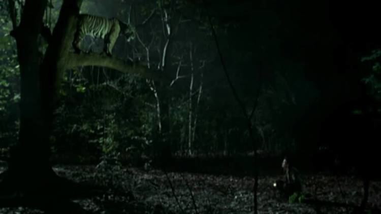 Tropical Malady Tropical Malady Apichatpong Weerasethakul YouTube