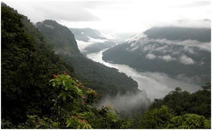 Tropical rainforests of India Agumbe A tropical rainforest in the heart of South India Travel