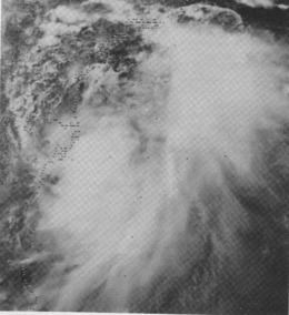 Tropical Storm Amelia (1978) httpsuploadwikimediaorgwikipediacommonsthu