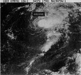 Tropical Storm Arlene (1981) httpsuploadwikimediaorgwikipediacommonsthu