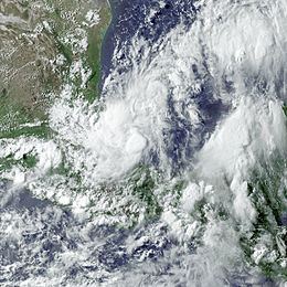 Tropical Storm Bret (2005) httpsuploadwikimediaorgwikipediacommonsthu