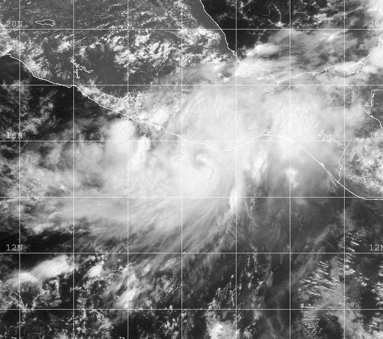 Tropical Storm Carlos (2003)