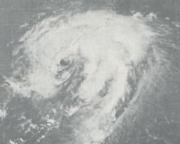 Tropical Storm Dottie httpsuploadwikimediaorgwikipediacommonsthu