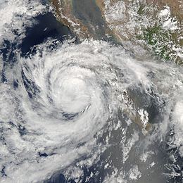 Tropical Storm Emilia (2006) httpsuploadwikimediaorgwikipediacommonsthu