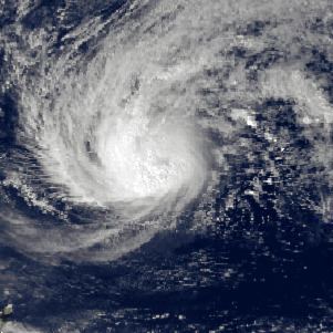 Tropical Storm Fern (1996)