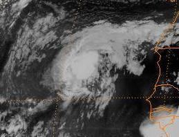 Tropical Storm Fran (1984) httpsuploadwikimediaorgwikipediacommons99