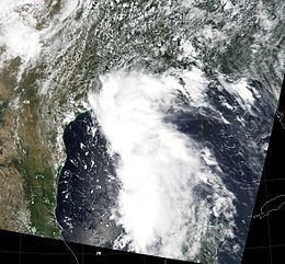 Tropical Storm Grace (2003) httpsuploadwikimediaorgwikipediacommonsthu