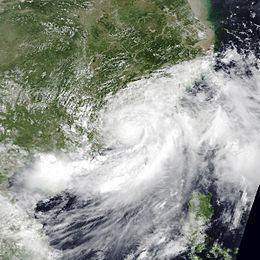 Tropical Storm Kammuri (2002) httpsuploadwikimediaorgwikipediacommonsthu