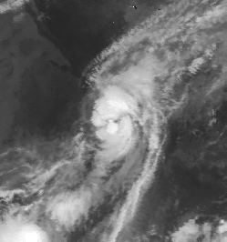 Tropical Storm Lidia (1981) httpsuploadwikimediaorgwikipediacommonsee