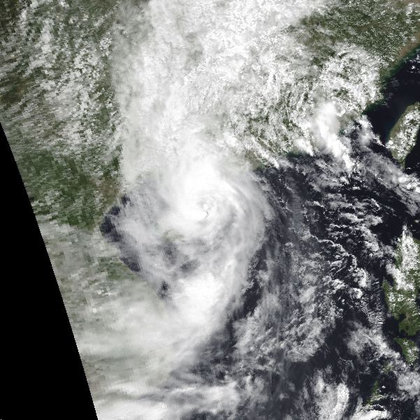 Tropical Storm Vongfong (2002)