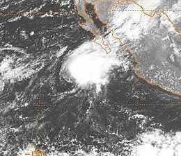 Tropical Storm Zeke (1992) httpsuploadwikimediaorgwikipediacommonsthu