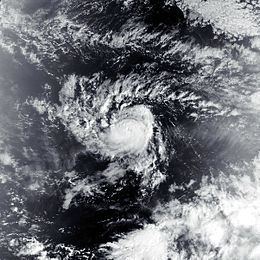 Tropical Storm Zelda (1991) httpsuploadwikimediaorgwikipediacommonsthu