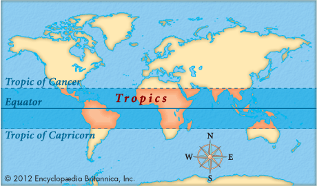 Tropics tropics Kids Encyclopedia Children39s Homework Help Kids