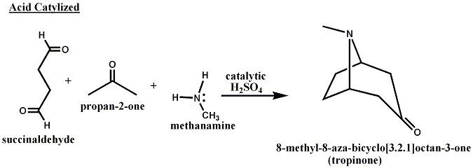 Tropinone chm2211fa10 tropinone synthesis