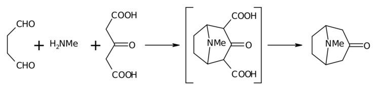 Tropinone FileRobinson tropinone synthesispng Wikimedia Commons