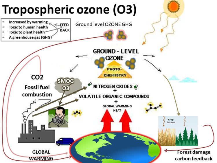 Tropospheric ozone 20091224004936