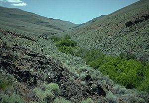 Trout Creek Mountains httpsuploadwikimediaorgwikipediacommonsthu