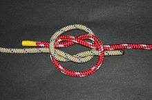 True lover's knot httpsuploadwikimediaorgwikipediacommonsthu