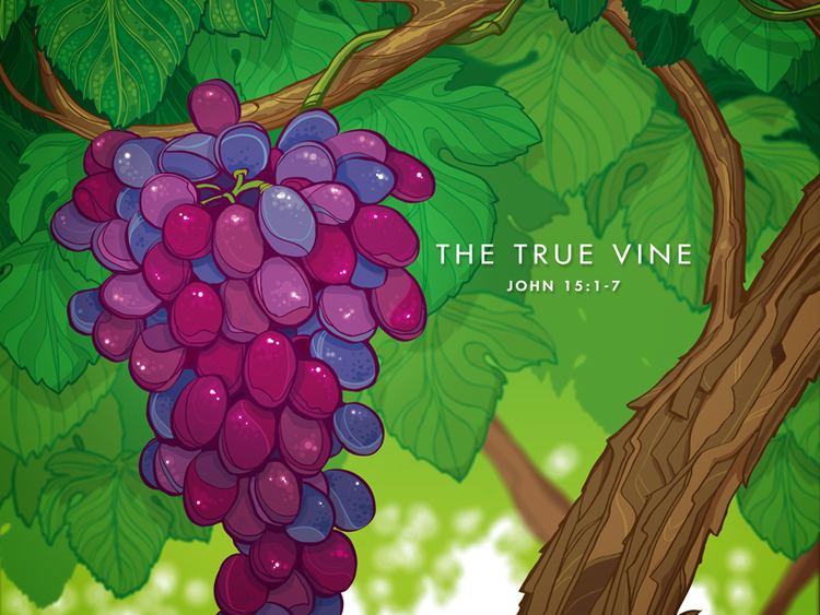 True Vine The True Vine by John Neiner Dribbble